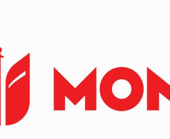 ville de mons logo