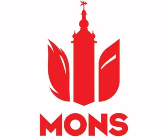 ville de mons grand
