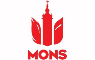 ville de mons petit
